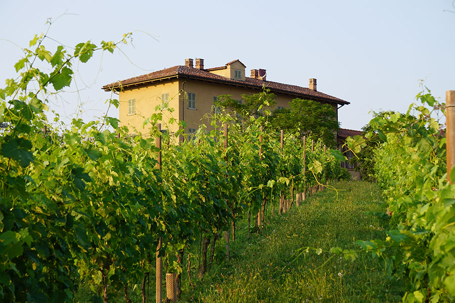 Marchesi Alfieri